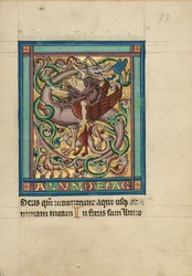 Initial S- A Griffin and Rider